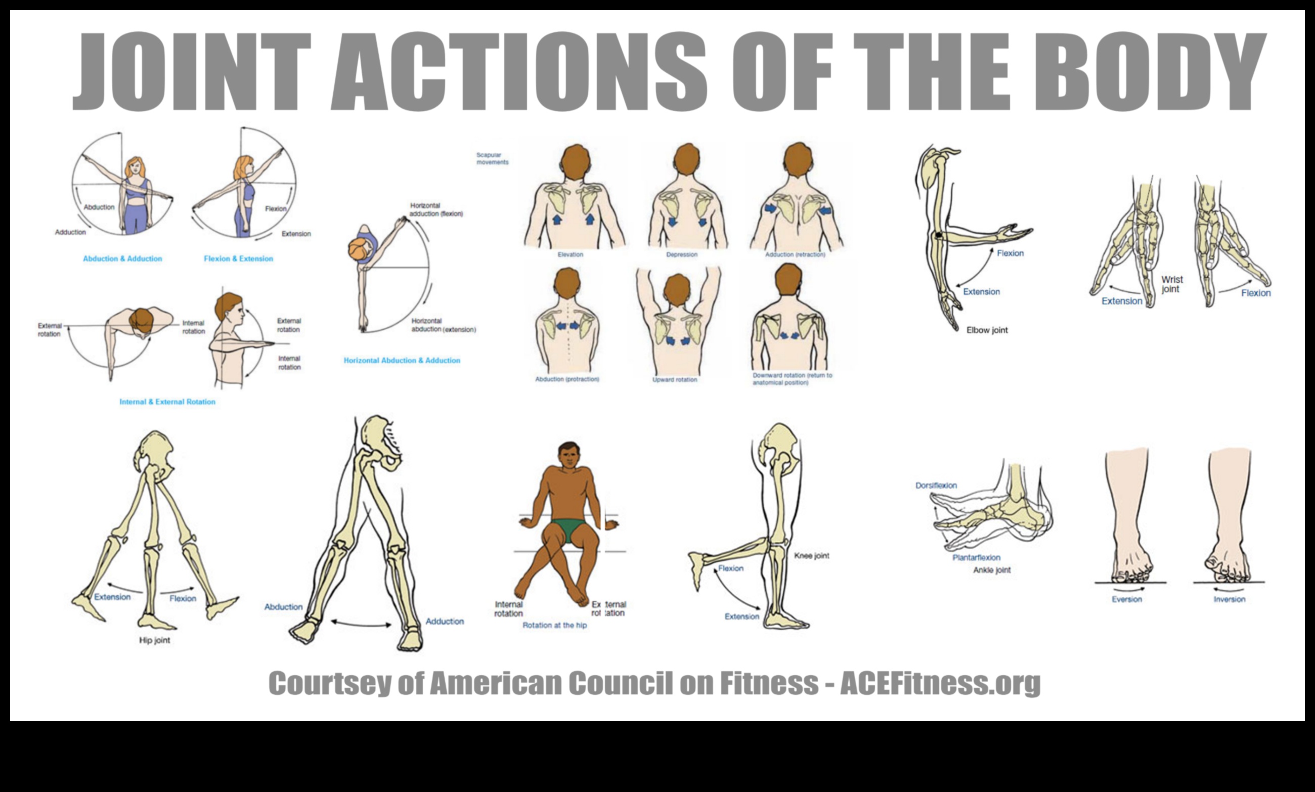 Stiepšanās sinerģija: elastīguma integrēšana maksimālai fiziskajai veiktspējai