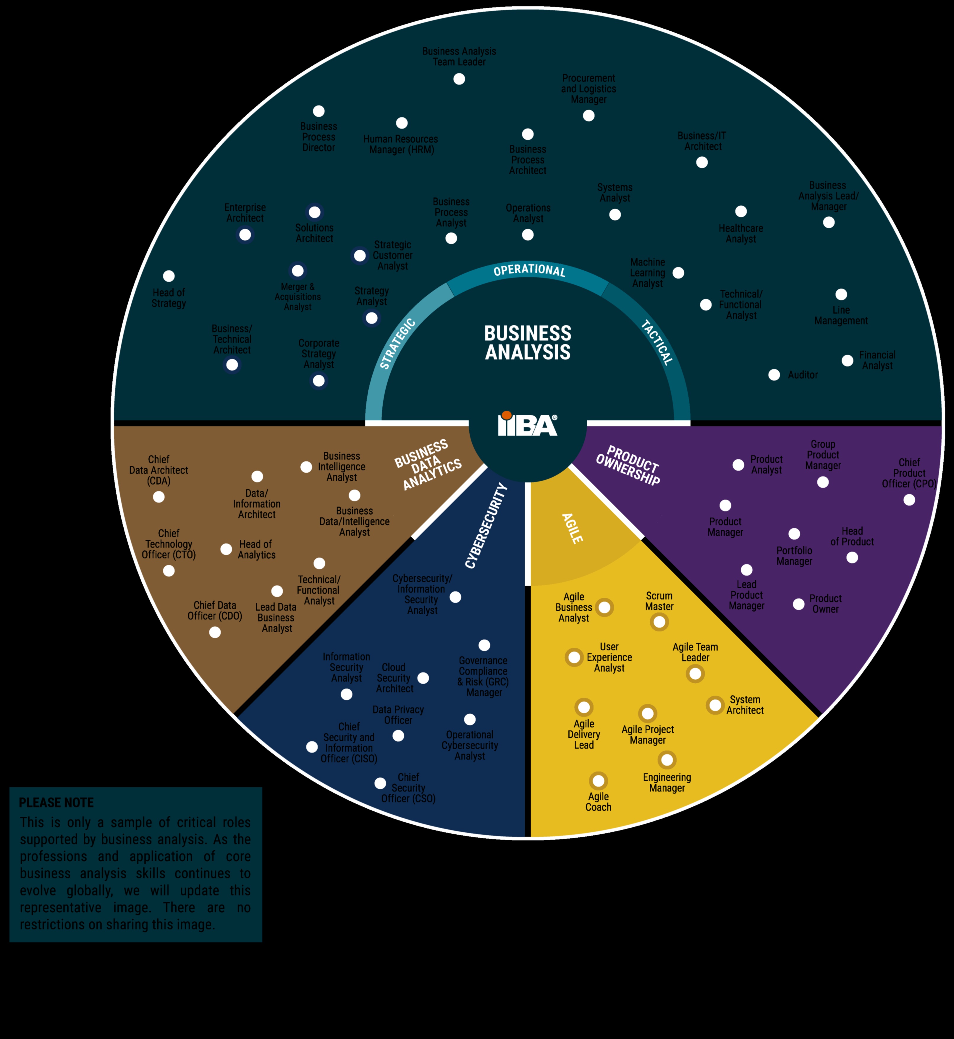 Analīzes katalizatori: biznesa analīzes panākumu paātrināšana