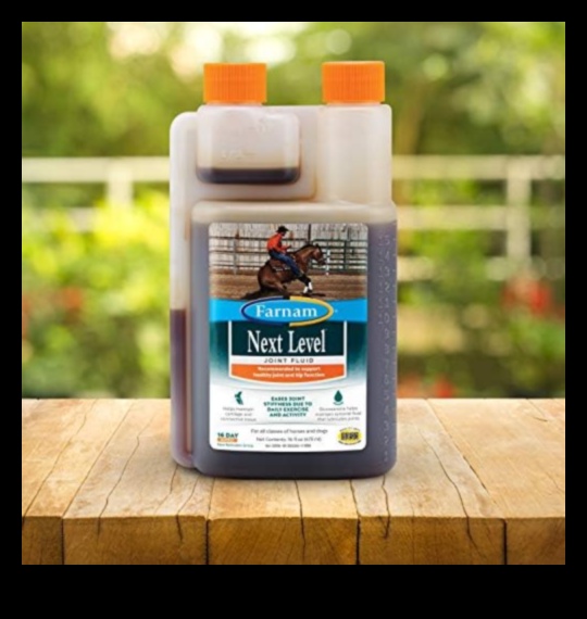 Fluid Flex: visaptverošs ceļvedis dabiskās kustības diapazona uzlabošanai