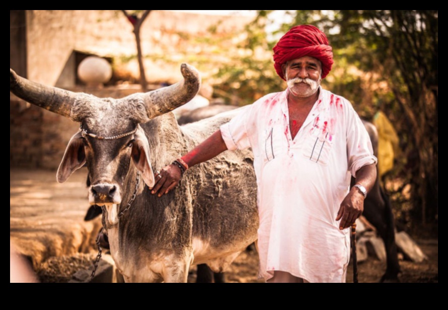 Majestic Marwar: Radžastānas mākslinieciskais mantojums