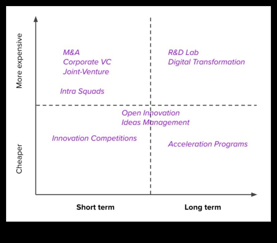 Pāri tradicionālajām robežām: inovācijas biznesa operācijās