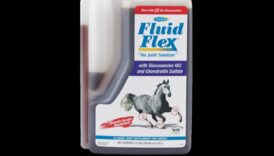 Fluid Flex: visaptverošs ceļvedis dabiskās kustības diapazona uzlabošanai