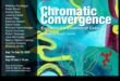 Hromatiskā konverģence: krāsu spēks mūsdienu mākslā