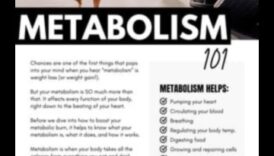 Metabolisma meistarība: kā vingrinājumi palielina jūsu ķermeņa kaloriju efektivitāti