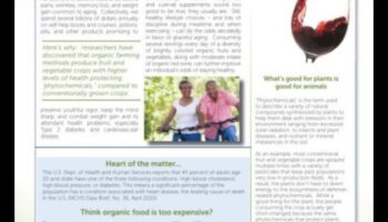 Spilgta novecošana: kā vingrinājumi veicina graciozu un aktīvu novecošanos